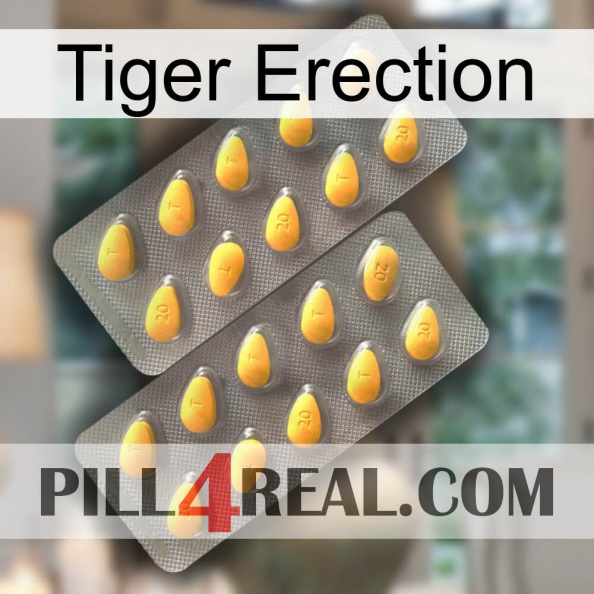 Tiger Erection cialis2.jpg